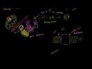 Electron Transport Chain