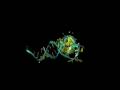 tRNA