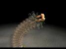 Bacterial Flagellum - Evolution's Nightmare & Demise