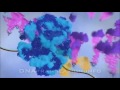 Protein synthesis (DNA transcription, translation and folding)