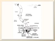 BE2012L11F013pg.jpg