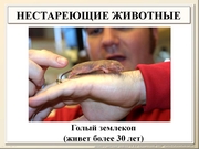 BE2012L12F039pg.jpg