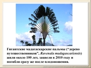 BE2012L12F018pg.jpg